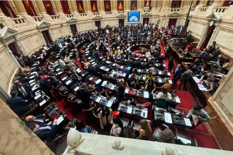 El Gobierno envió al Congreso el proyecto de “Ley Hojarasca” para ...